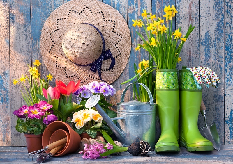 Spring flowers flower arrangement