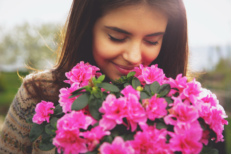 Flowers flowers  / Photographing flowers