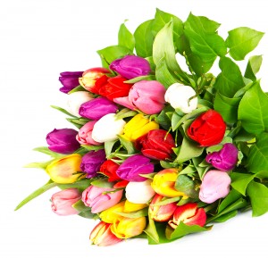 Delivery Tulips Bouquets UK